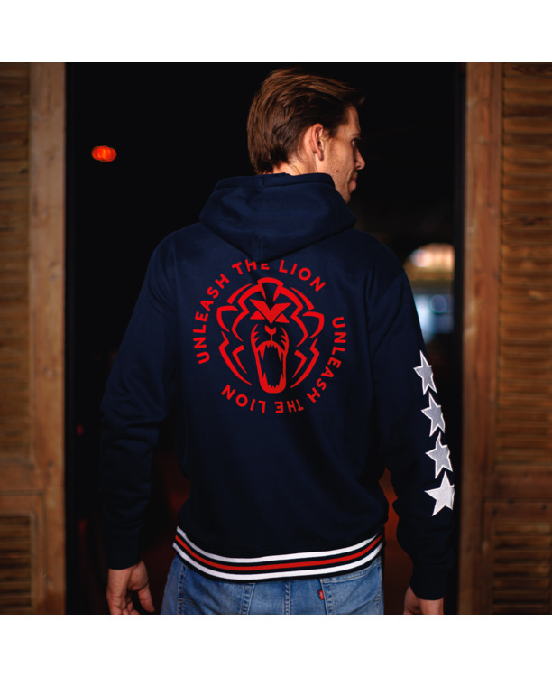 USA Hoodie 2025 - Max Verstappen