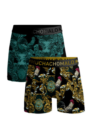 Mannen 2-Pack Boxershorts Man Haan Print/Green