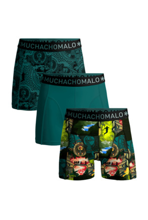 Jongens 3-pack Boxer Shorts Indiana Print/Print/Green