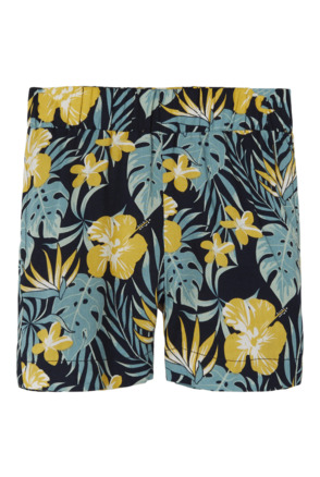 Gestreepte Shorts Regular Fit