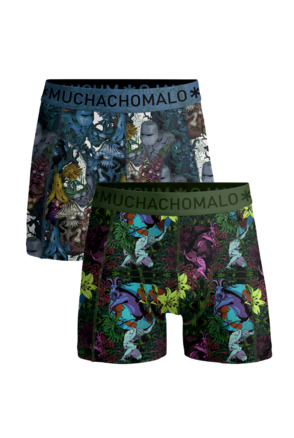 Jongens 2-Pack Boxershorts Earthelements Print/Print