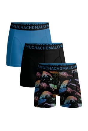 Jongens 3-Pack