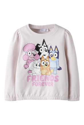 Standaard Pasvorm Ronde Hals Lange Mouwen (L/M) Meisjes