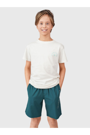 Swim Shorts Lestery