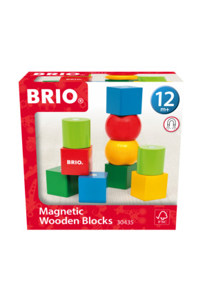 BRIO Houten blokken met magneten