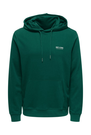 ONSALBERTO NEW LOGO HOODIE SWEAT