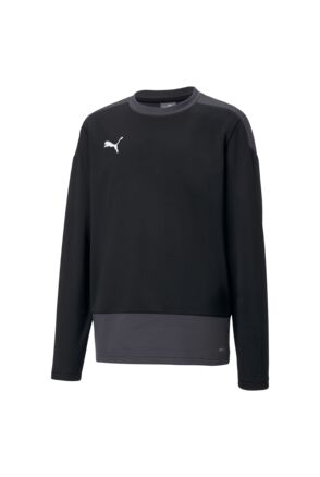 teamGOAL 23 Training Sweat Jr  Puma Blac