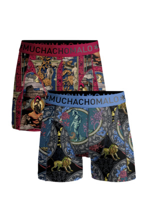 Heren 2-Pack Boxershorts Rome Print/Print
