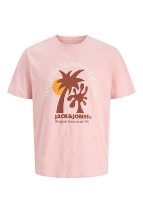 JORDOWN TEE SS CREW NECK STYDSS25