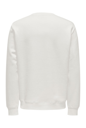 Regular Fit Crew Neck Lange Mouwen (L/S) Heren