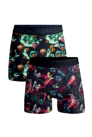 Heren 2-Pack Boxers Airelements Print/Print