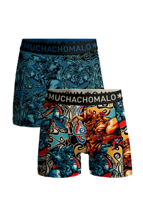 Jongens 2-Pack Boxershorts Alpen Print/Print