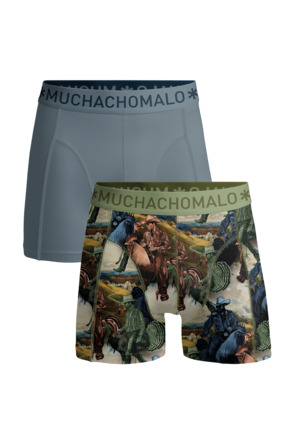 Heren 2-Pack Boxershort Print/Effen Print/Blue