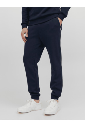 JPSTGORDON JJBRADLEY SWEAT PANT GMS