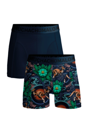 Heren 2-pack Boxershorts print/effen Print/Blue