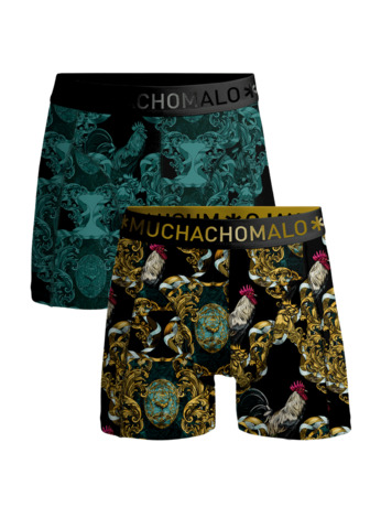 Mannen 2-Pack Boxershorts Man Haan Print/Green