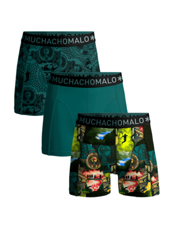 Jongens 3-pack Boxer Shorts Indiana Print/Print/Green