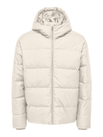 Capuchon Lange Mouwen (L/M) Heren