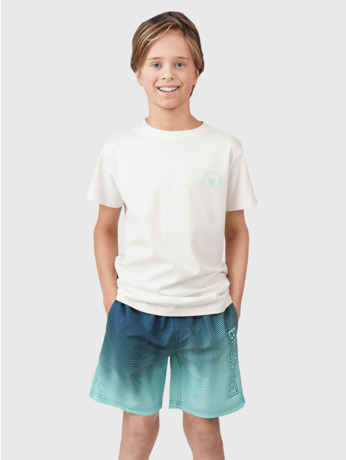 Swim Shorts Rocksery