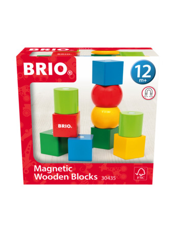 BRIO Houten blokken met magneten