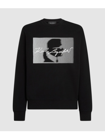 STRIPED CAMEO SWEATSHIRT