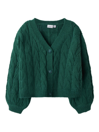 Normale pasvorm V-hals Lange mouwen (L/M) Meisjes