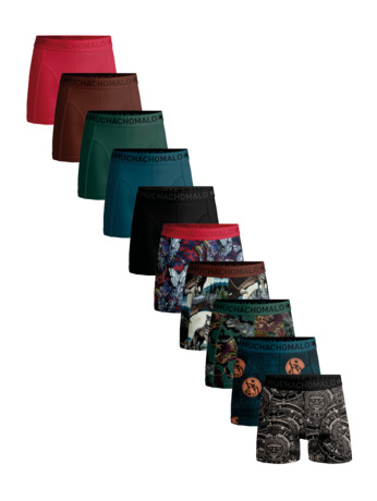 Heren 10-Pack Boxershort Print/Solid Print/Blue/Green/Brown/Red