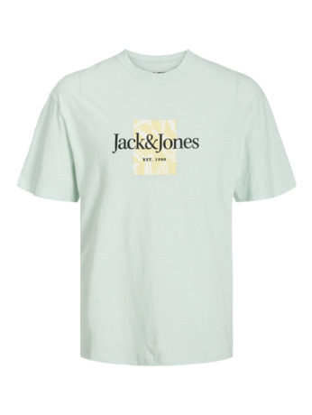 Regular Fit Crew Neck Short Sleeves (S/S)
