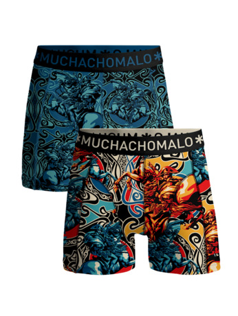 Jongens 2-Pack Boxershorts Alpen Print/Print