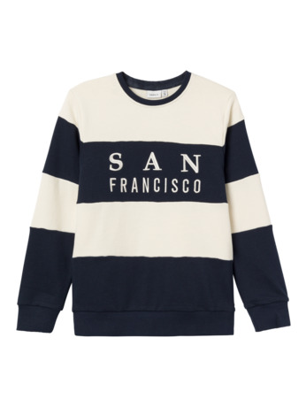 Regular Fit Hoodie Lange Mouwen (L/M) Heren