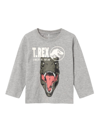 Normale pasvorm ronde hals lange mouwen (L/S) Heren