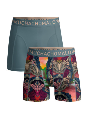 Heren 2-Pack Boxershorts Print/Effen Print/Blue