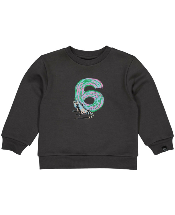 HOFABDAYSW06 Sweater Uni