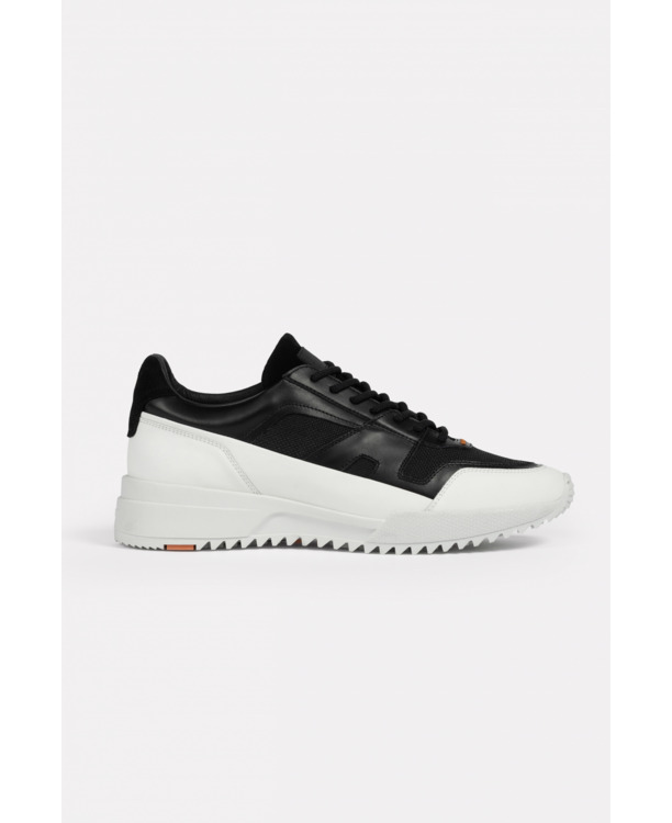 Zwarte Schaduw van Palma