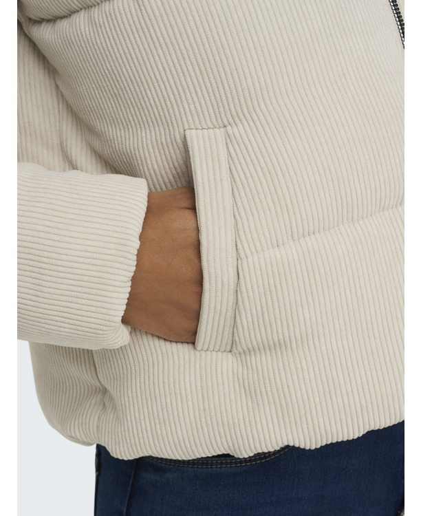 High Stand Up Collar Long Sleeves (L/S)