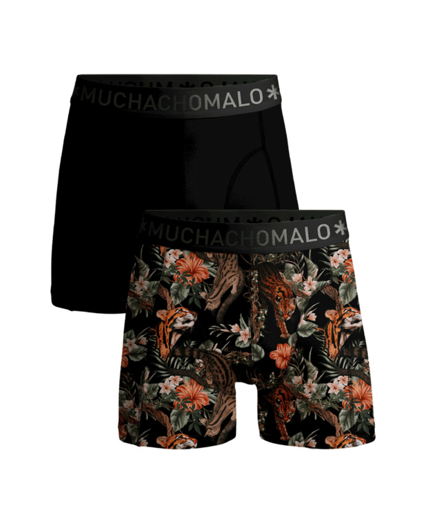 Men 2-pack Boxer Shorts print/solid