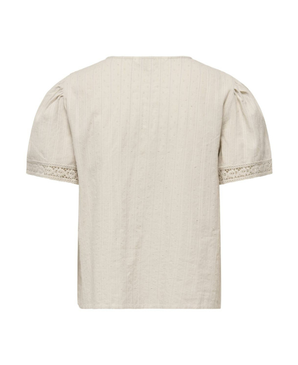 Regular Fit V-Neck Short Sleeves (S/S)