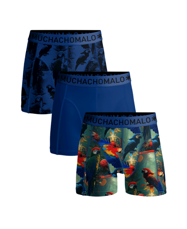 Men 3-Pack Boxer Shorts Print/Print/Solid