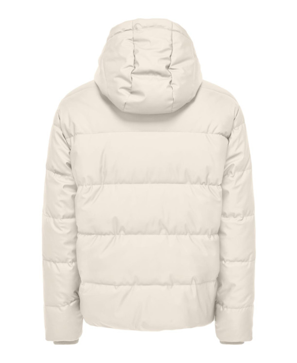 Capuchon Lange Mouwen (L/M) Heren