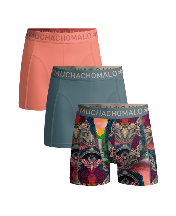 Jongens 3-Pack Boxershort Print/Effen Print/Blue/Pink