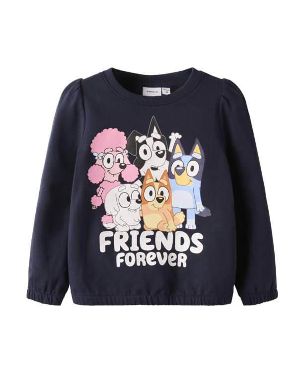 Standaard Pasvorm Ronde Hals Lange Mouwen (L/M) Vrouwen