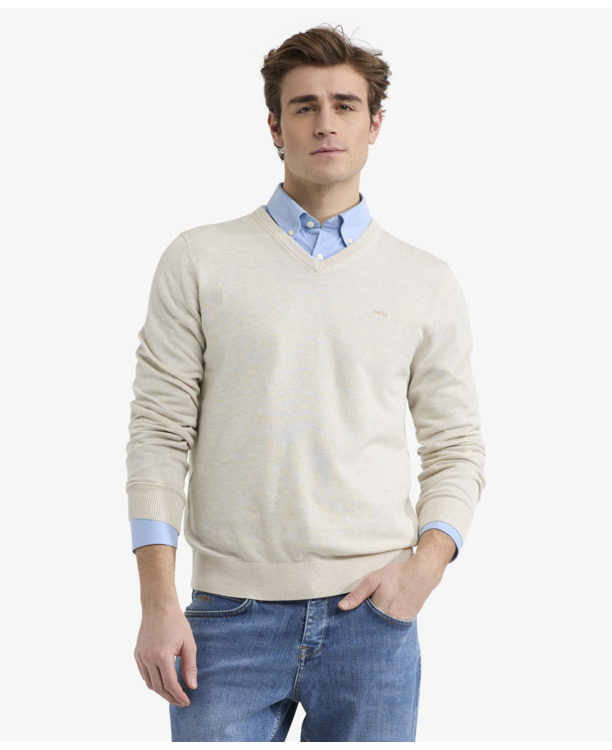 V-Neck Sweater 100% Cotton Heren