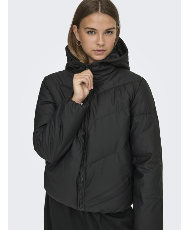 Hood Long Sleeves (L/S)