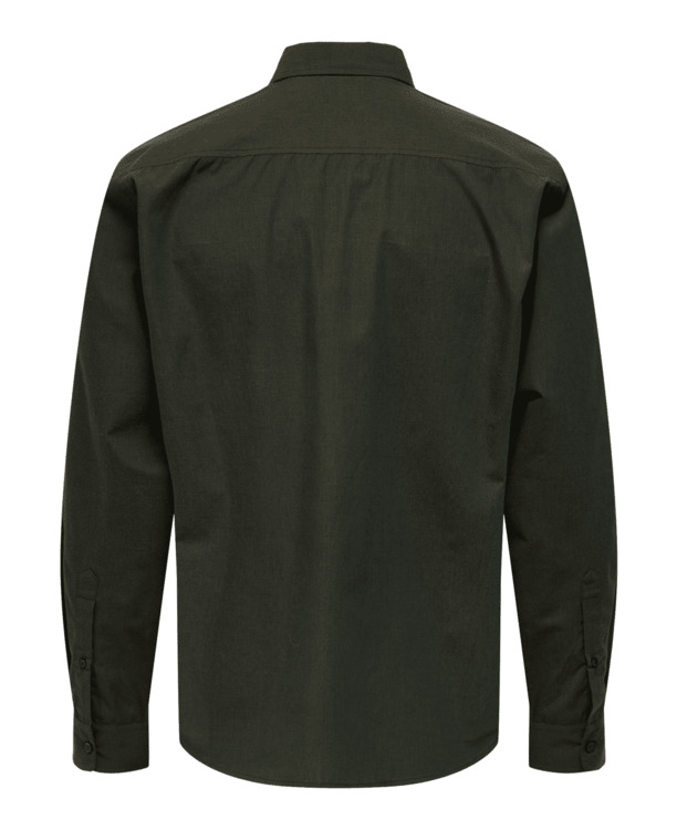 Regular Fit Shirt Collar Long Sleeves (L/S)