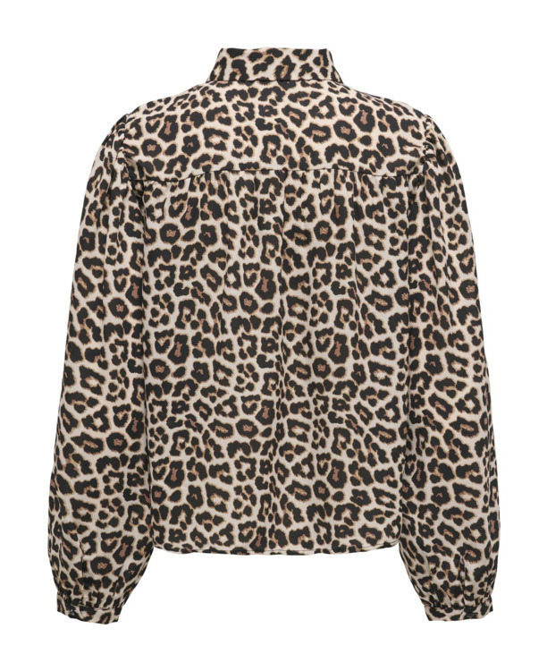 Regular Fit Shirt Collar Long Sleeves (L/S)