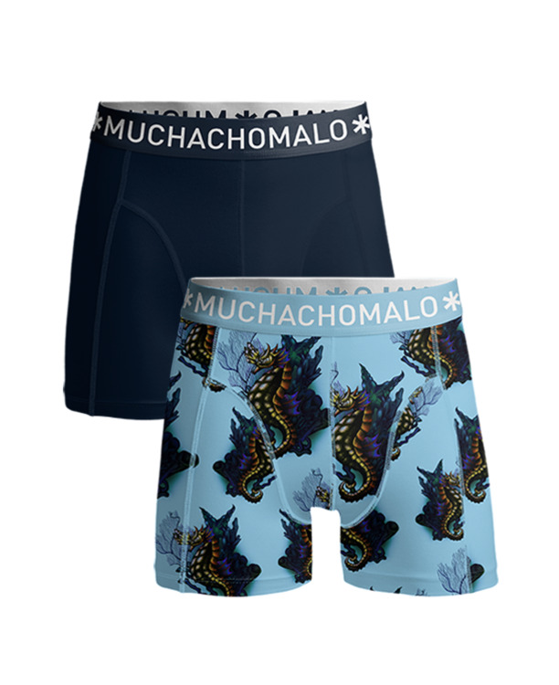 Heren 2-Pack Boxershorts Effen Print/Blue