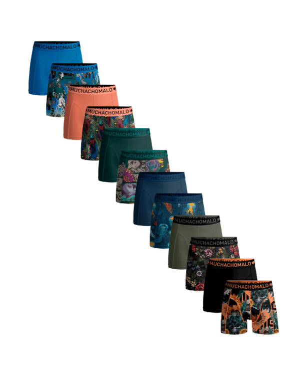 Heren 12-Pack Boxershort Print/Effen Print/Black/Green/Blue/Green/Pink/Blue