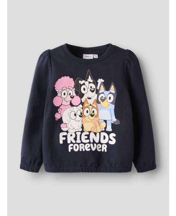 Standaard Pasvorm Ronde Hals Lange Mouwen (L/M) Vrouwen