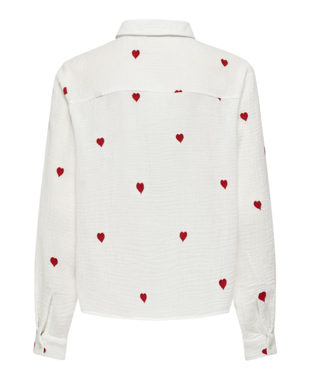 Regular Fit Shirt Collar Long Sleeves (L/S)