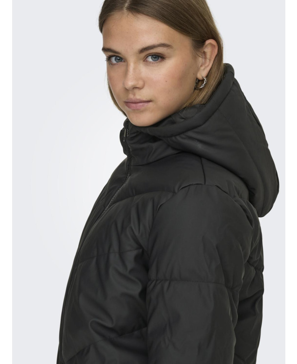 Hood Long Sleeves (L/S)